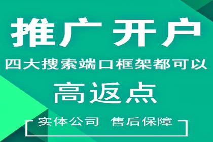 SEM网络推广成功案例：如何抓住潜在客户